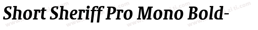 Short Sheriff Pro Mono Bold字体转换